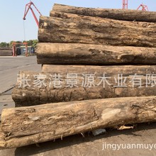 ��̴ľ �S�����ľTK ����ľԭľ ���º���ľWAL ����ľ