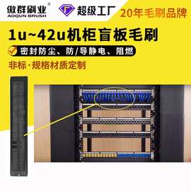 1U~42U机柜毛刷 机房过线理线  网络通信密封防尘304不锈钢
