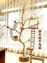 干树枝原木杈干鸟架造型鹦鹉站架艺术干枝枯木树干架吊顶龙骨装饰