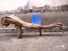 �t��ľ������ë��Ѫ��ë���S���쾰�[�����ְѼ���ľ��ľ�b���