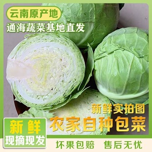 ��ϰ��˾��Ĳ����r�߲ˬF���F�l���{ɏ�����r���ԷN����ɳ�����l