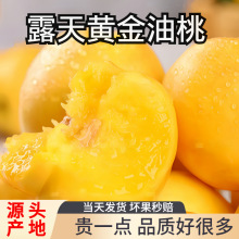 �S������������S���������rˮ��������]�����S���S�Ĵ��Ұ��]