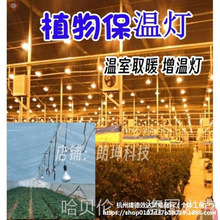 �»��܄�ֲ��̫ꖹⱣ�ؾGֲ�߲˟�������Ҽt�⾀��ȡů���؟�