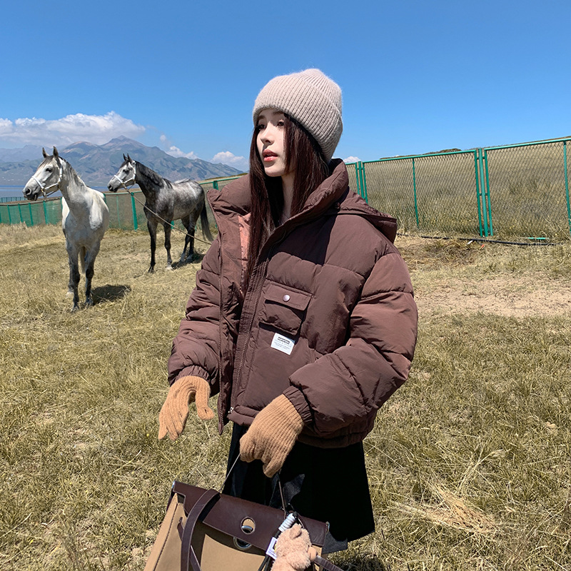 Algodón coreano para mujeres corto en 2025, nuevo estilo coreano con capuzas, chaqueta de algodón gruesa, chaqueta de algodón de invierno pequeña, moda image 3