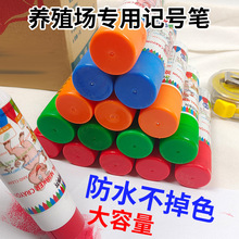 �i��ӛ̖�P���ô�ӛ̖�i������ţ���Bֳ��ӛ̖�����F��Ϟ�P