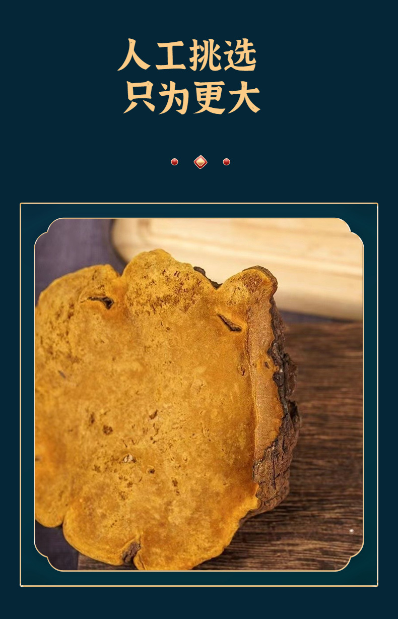 Mulberry Sang Huang (Sanghuangporus sanghuang) — Wild Jilin Changbai Mountain Cut Slices, 100g quality and texture
