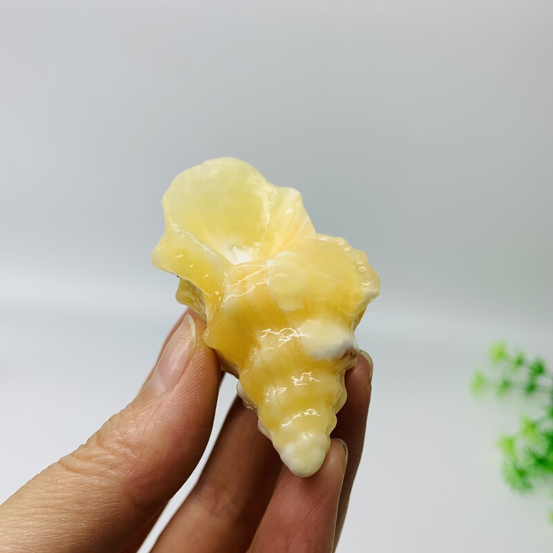 天然水晶多种材质原石雕刻海螺水晶小摆件供应 图 4