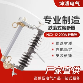 高压熔断器;绝缘套管;避雷器