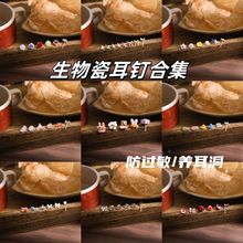 �ϰٷN����ɶ�ᔺϼ��������������˯�X��ժ�B�������¸߼���