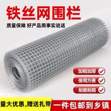 镀锌防鼠铁丝网防蛇钢丝网小孔加粗鸡鸽鸟兔笼阳台防护网格网工厂