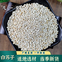 【凡一堂】道地选材 当季新货白苏籽 白苏子 酥麻籽 白苏麻子
