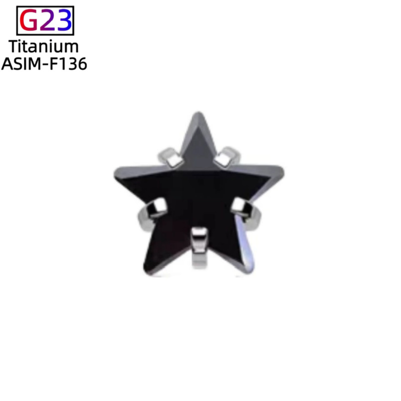G23 Titanium Star Zircon Ear Cartilage Stud Lip Nail Piercing Jewelry Fashion Ear Accessories detail image 9