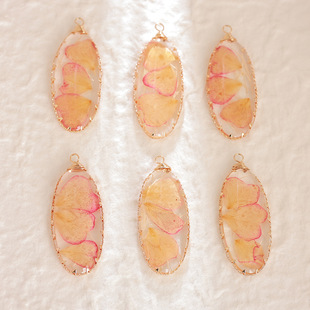 ��ˇ��֬������z�ɻ� diy�朵������h�^�耳׿�����������l