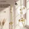 Titanium gold economical shower set (high standard configuration)