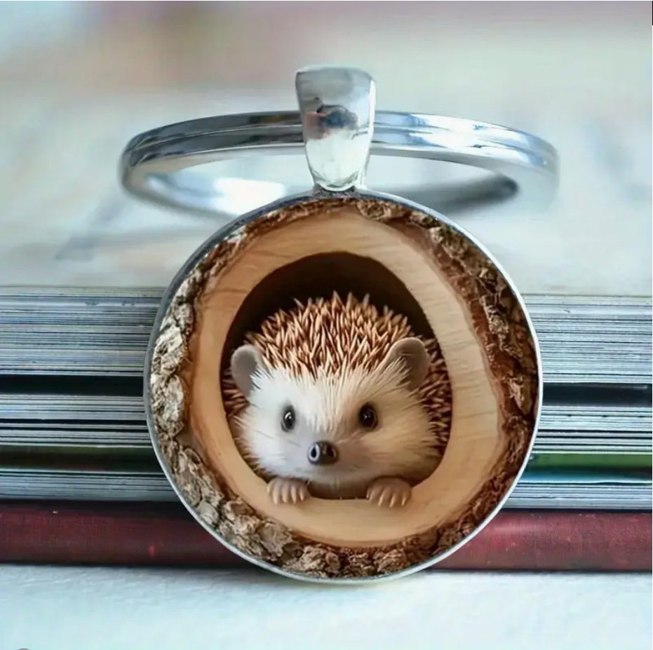 微信图片_20250405194506