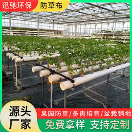 厂家定制黑色透水抗老化PP防草布大棚防草布农用果园黑色pp防草布