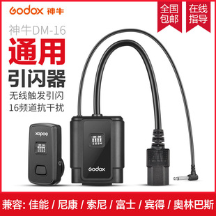 ��ţDM-16 �W������W���l�����o���|�l��Ӱ�ҟ�η����C������