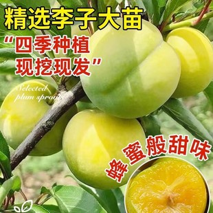 �������Ә���޽��ش�����Ó��������ӹ������ϱ����N���A�����