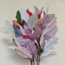 Ƥ~ٻ֦Gֲ~cŻbY·廨~