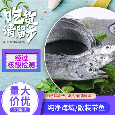 20斤帶魚整條黃海帶魚冷凍刀魚新鮮冷凍帶魚整條寬帶魚廠家批發