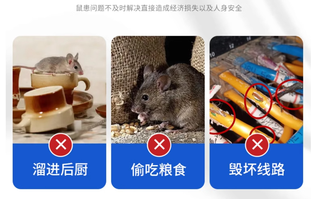 10C99290102713A528C6EA579C2DA7