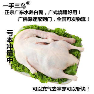 �����V�|�����V�|����ˮ�B�����������_�����I�������c