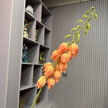 ���滨 ����L� 3d��ӡ���W�ҾӾƵ�ܛ�b��̻�c�[���������l