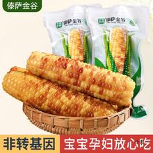 傣萨金谷云南西双版纳香糯小玉米即食粗粮代餐儿童花甜糯小玉米