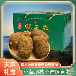 �����ͨ���r���鹲3���Ұ��1500gС�݉άF�ڻ����Ǹ�؛