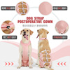 New cross -border pet supplies Dog Dog Steel Bringing Stand -made Planetary Anti -breathable Anti -Lick High Pet Pet Server