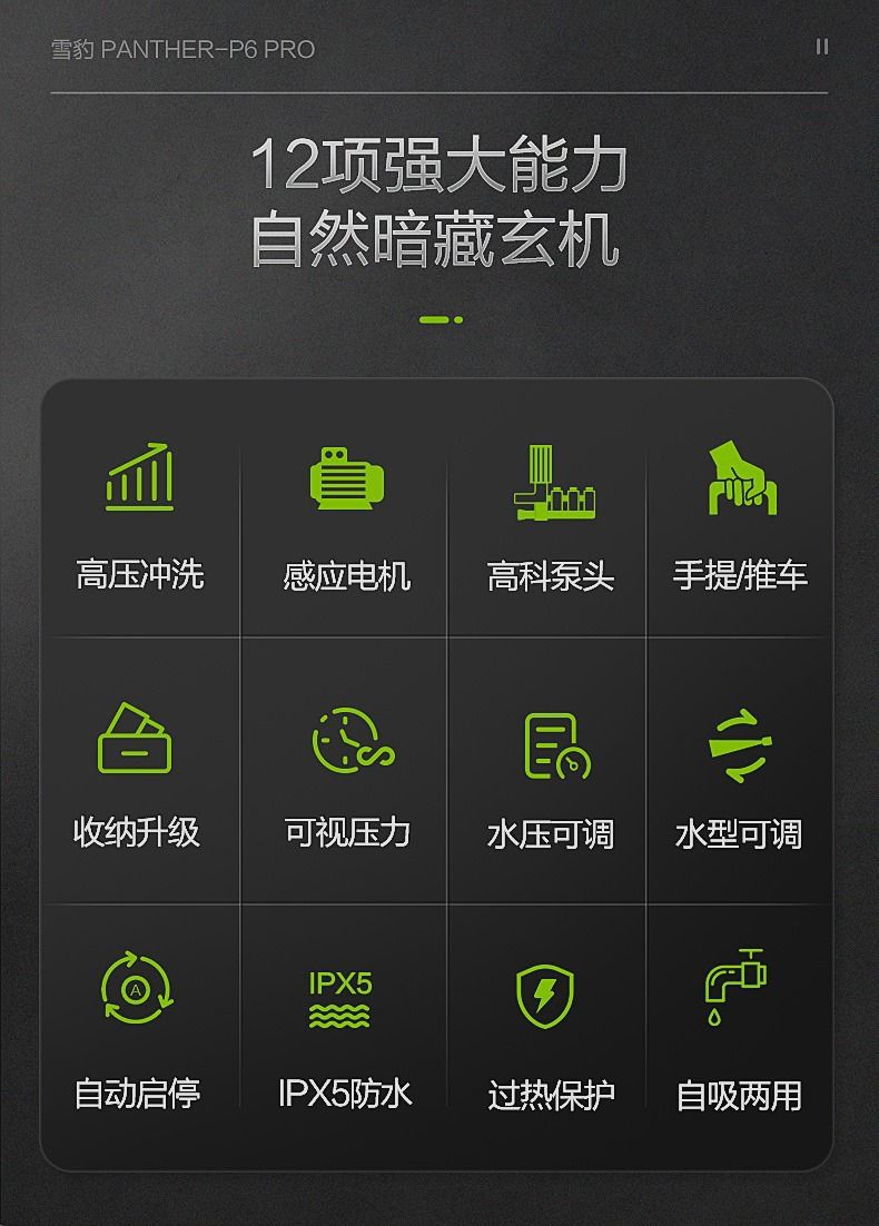[725,000 People Have Collected This Brand] Lutian Snow Leopard 2000W Car Washing Machine P6Pro High-Power Induction Household Appliance