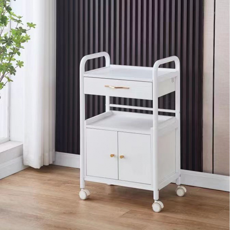 Salón de belleza carro especial gestión de la piel móvil de mano empuje estante de almacenamiento de plástico cuidado instrumento mano herramienta de empuje Coche