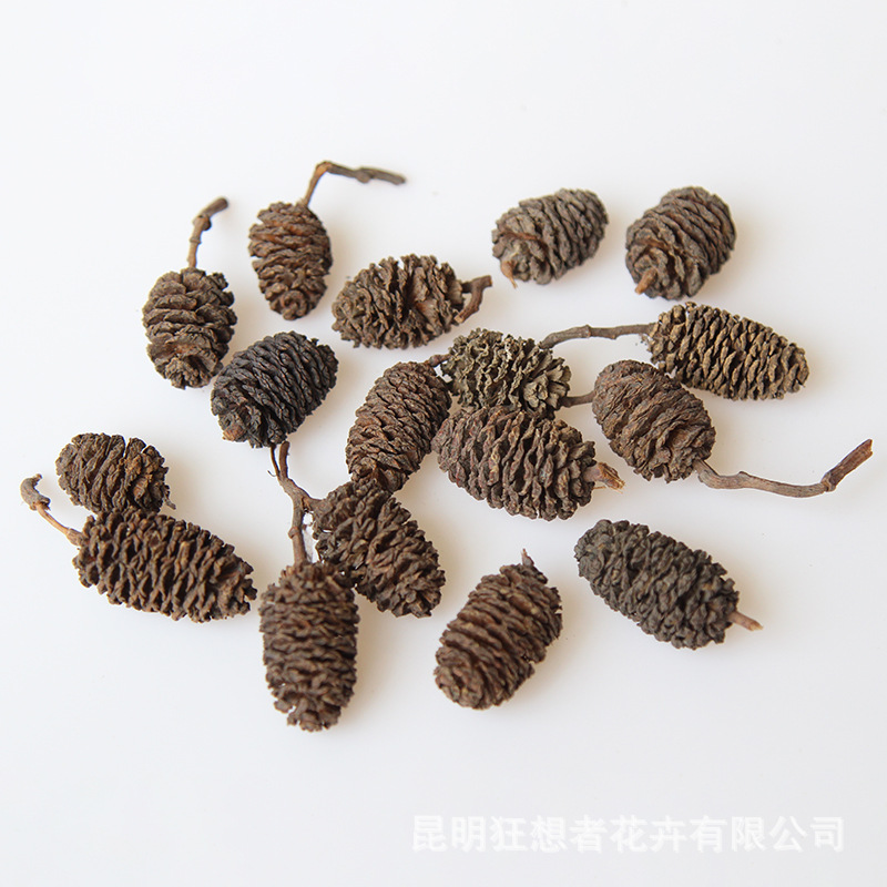 Màu cơ bản của Dashuiyangzi (một túi 20 gam, khoảng 16 chiếc)