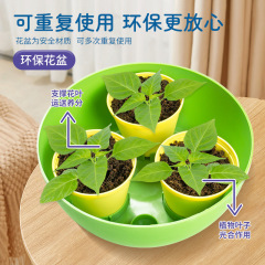Learn from Yuma space planting capsule children's science experiment set vegetable plant growth hydroponic greenhouse cultivation toys