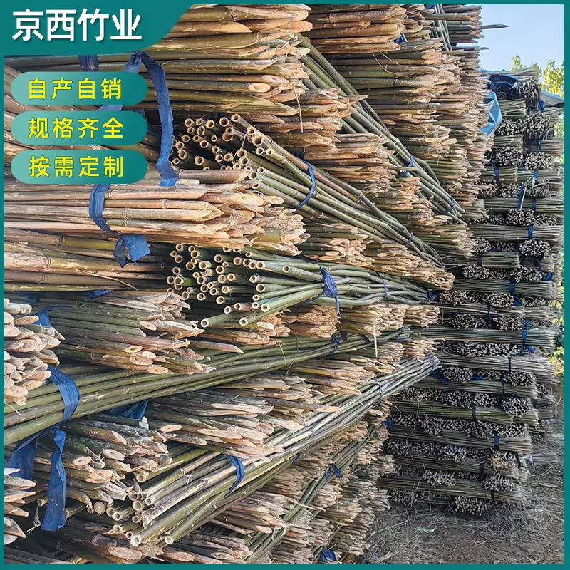 厂家供应苦竹杆农用竹竿蔬菜苗圃支撑杆园艺竹材苦竹条