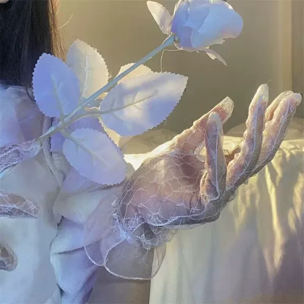 [花边白色(YZ1031)]