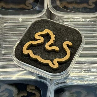 ��Ȼ�P������R�������R��녱P�������骳���Ƭ�b�҃�����ͨ��