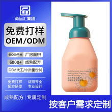 Nƃͯԡ¶냺{ʾԡ錚̝ԾA¶