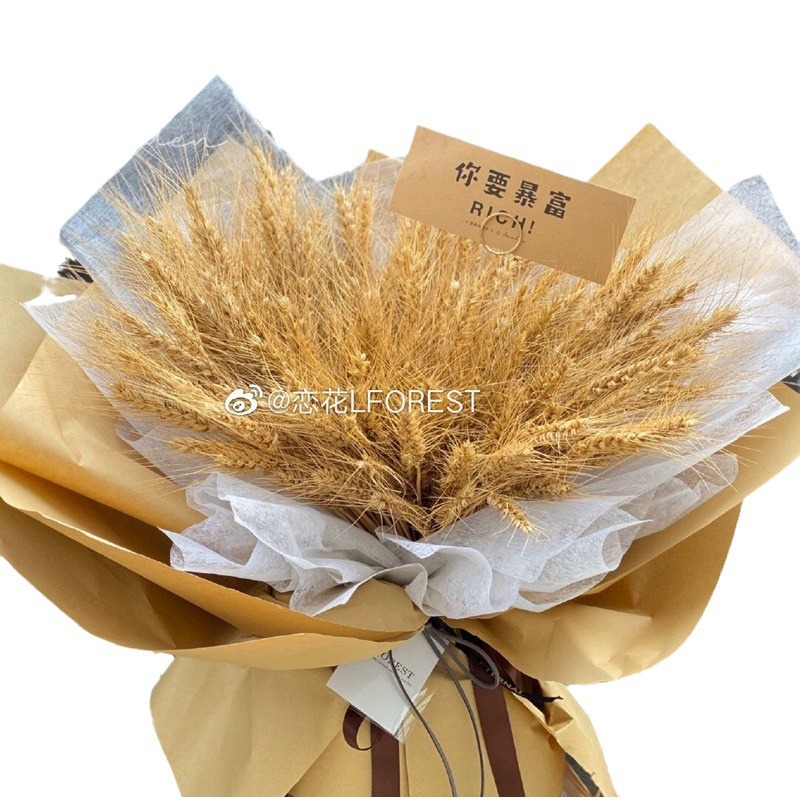 Material de cesta de flor de cebada de celebridad en línea material de ramo seco de oreja de trigo bricolaje decoración del hogar material de embalaje de flores tienda de flores