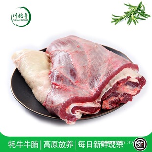 �������ţ�����r2000g �F�����aţ�����rţ�������K������M��