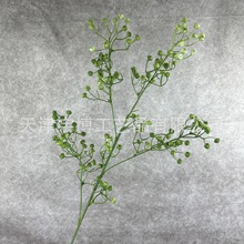 С̥ rղ˹Gֲ~ٻbcҾӔ[滨廨Yû