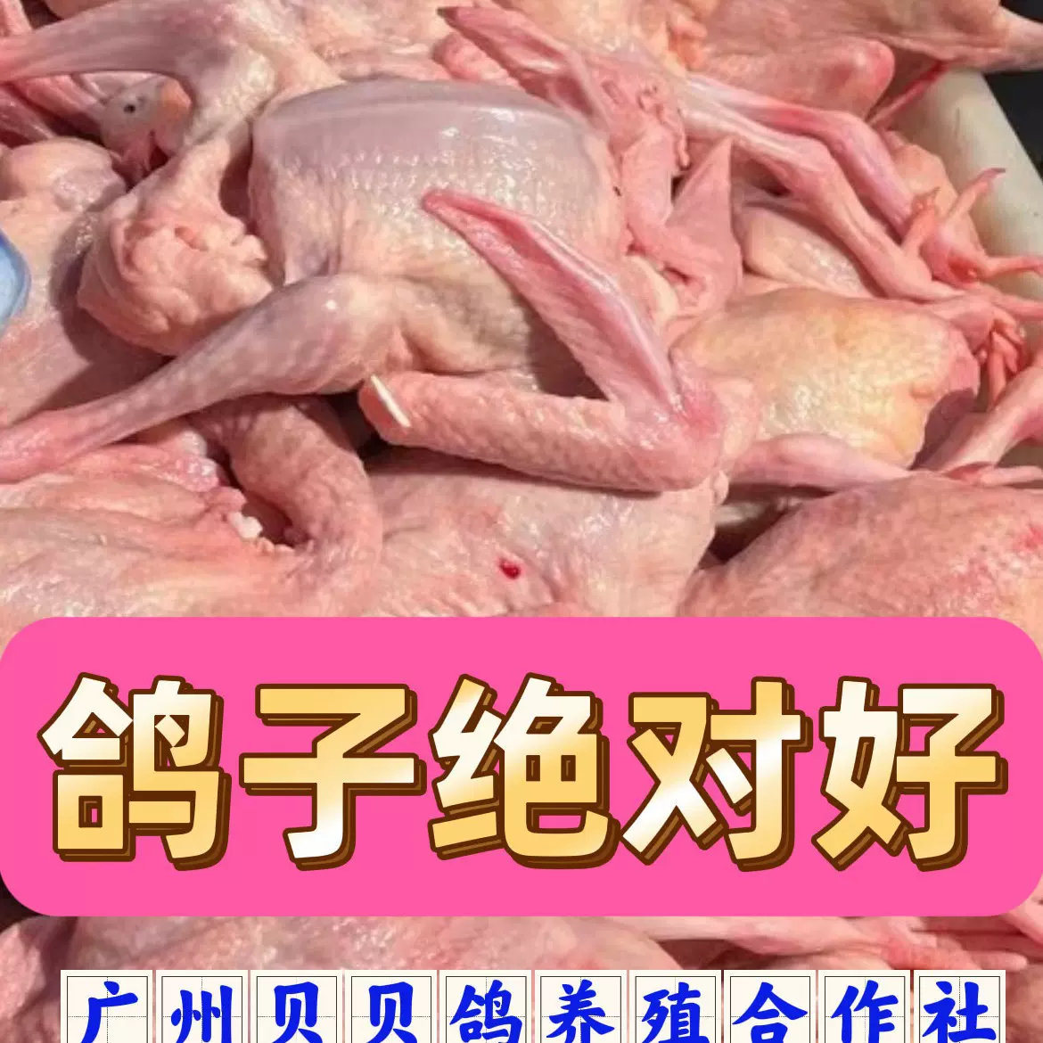 新鲜乳鸽新鲜鸽子冰冻乳鸽冰冻鸽子批发鸽子批发20只1箱饭店批发