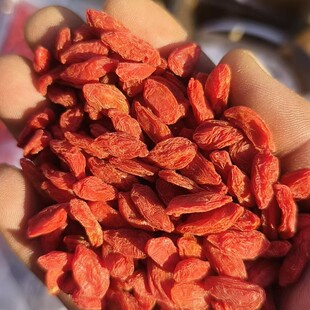 �����ຣ�خa��� �w��Դ�^���Sֱ�l�o����