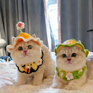 ���Ռ��ﻨ��ñ�Ӈ������b؈�乷�������۷��^��^�׿�ˮ�����