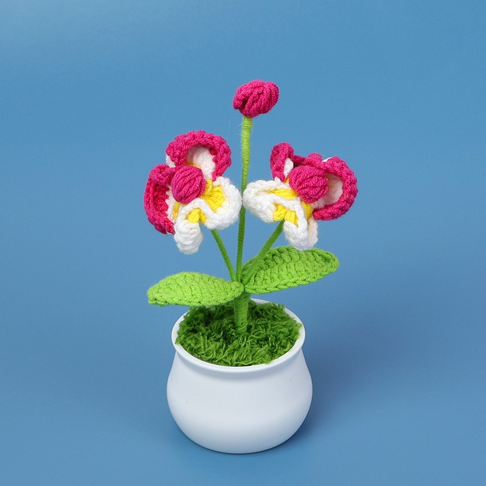 Mengsi - maceta de Phalaenopsis (maceta blanca) - Rosa-2
