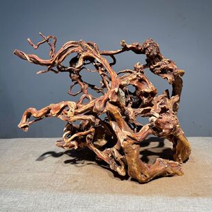 ����ľ��ˇƷ�[���L��ľ��ľ��ɼľ������U��Ҿ��Ʒ����