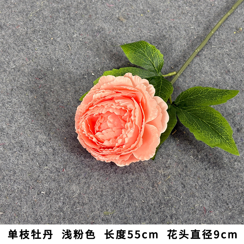 단일 모란 가지, 옅은 분홍색, 길이 55cm, 꽃 머리 지름 9cm