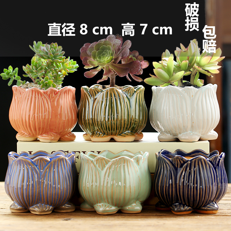 세라믹 - 가격 대비 가치가 높은 6색 연꽃 시트 조합