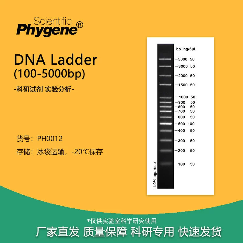 100bp plus DNA Ladder/Marker (100-5000bp) [PH0012 PHYGENE]