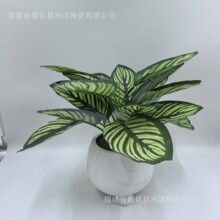 �մɻ�����ñ��WС���莧�бP���������転Ƥ�m�lؔ��ɻ���